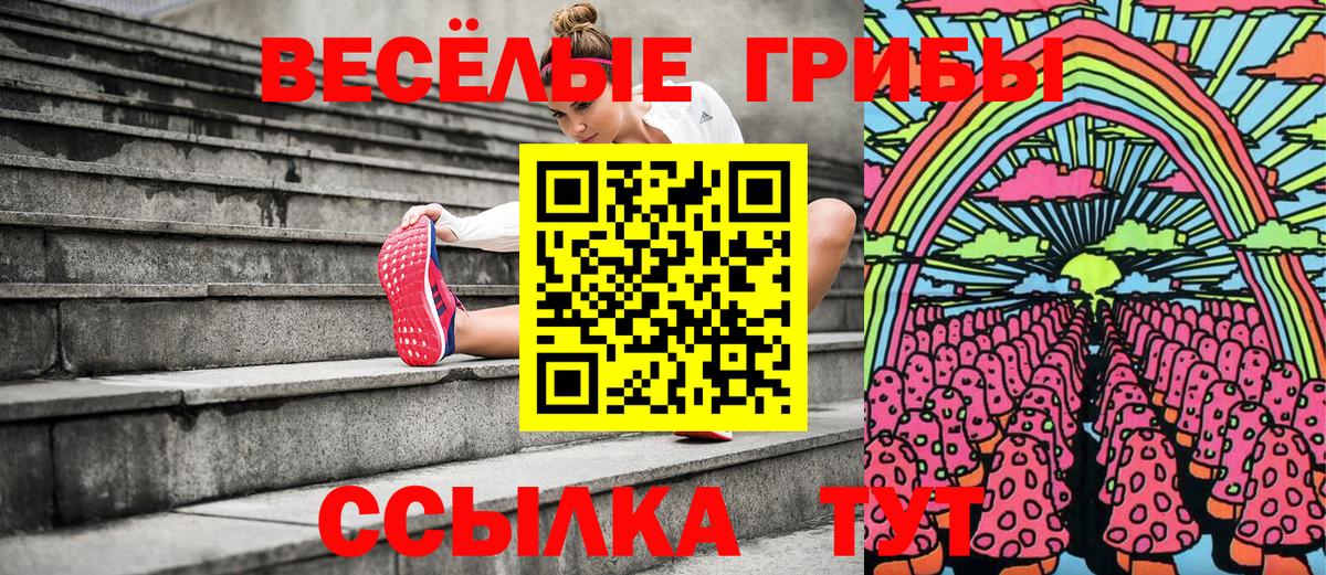 Галлюциногенные грибы Psilocybine cubensis  Вход с VPN  Спасск-Дальний  Галлюциногенные грибы Psilocybe 